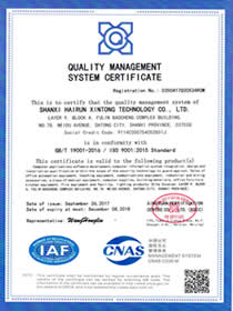 ISO 9001質量管理體系認證（英）